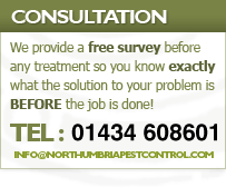 Free Pest Control survey before any treatment. Pest control Newcastle, Hexham, Northumberland.