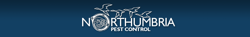 Northumbria Pest Control