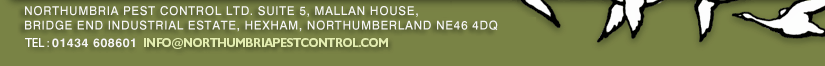 Northumbria Pest Control, suite 5, Mallan House, Bridge End Industrial Estate, Hexham, Northumberland