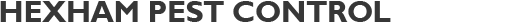 Hexham Pest Control specialists Hexham Pest Control specialists
