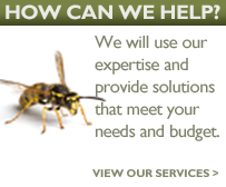 How can we help? We will use our expertise and provide solutions that meet your needs and budget.